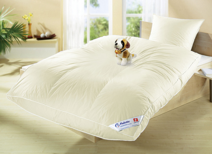 Dekbedden - Ballonbed in cassettevorm van Balette, in Größe 103 (deken, 135/200 cm) bis 403 (4-delige voordeelset), in Farbe ROOM, in Ausführung Extra Warm Ansicht 1