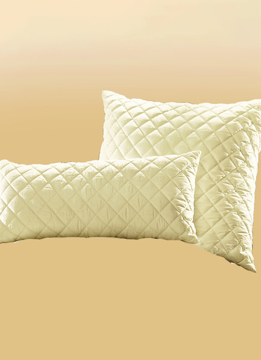 Dekbedden - Waaierkussen met het fijnste, kostbare haar van hoge kwaliteit, in Größe 120 (80/80 cm) bis 121 (40/80 cm), in Farbe NATUREL Ansicht 1