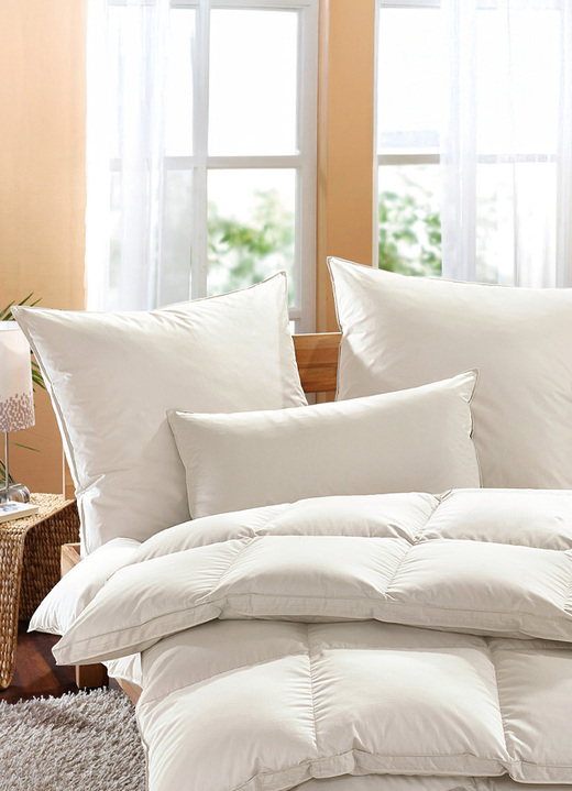 Dekbedden - Exclusief slaapcomfort: Musk Royal kussen van Häussling, in Größe 120 (Kussen, 80/80 cm) bis 121 (kussen, 40/80 cm), in Farbe NATUREL Ansicht 1