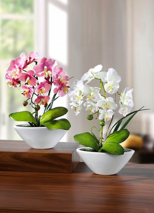 Woonaccessoires - Orchideeën in keramieken schaal, set van 2, in Farbe