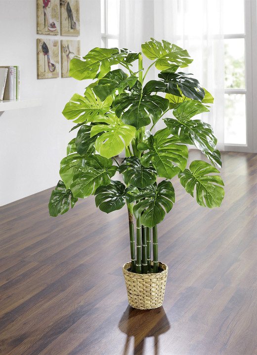Woonaccessoires - Monstera in pot, in Farbe GROEN, in Ausführung Totale hoogte ca. 100 cm