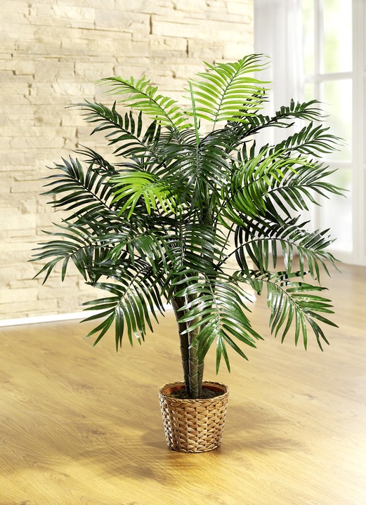 Woonaccessoires - Palm in pot, in Farbe GROEN, in Ausführung palmboom in pot, klein