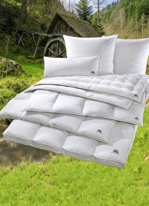 Dekbedden - Donzen dekbed uit het Zwarte Woud van OBB, in Größe 103 (Bed, 135/200 cm) bis 403 (4-delige voordeelset), in Farbe WIT, in Ausführung Licht Ansicht 1