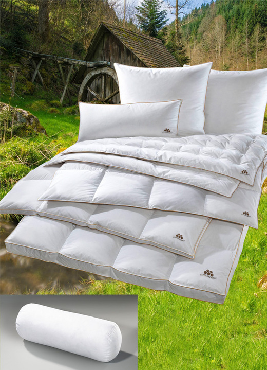 Dekbedden - Zwarte Woud dons programma van OBB, in Größe 103 (Bed, 135/200 cm) bis 403 (4-delige voordeelset), in Farbe WIT, in Ausführung Kussen