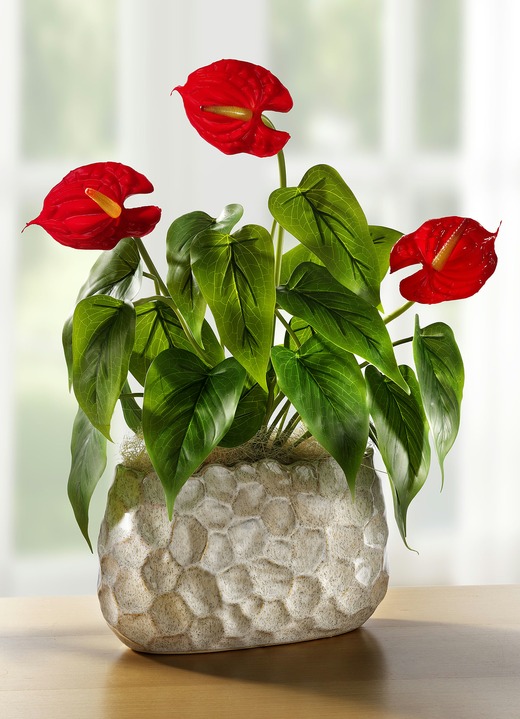 Woonaccessoires - Anthurium in schaal, in Farbe GROEN-ROOD