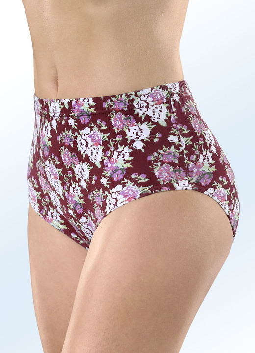 Slip - Set van vijf slips met elastische band, in Größe 038 bis 056, in Farbe ZEGELROOD-MEERKLEURIG Ansicht 1