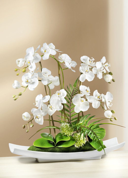 Woonaccessoires - Orchideeënbloemstuk in schaal, in Farbe WIT Ansicht 1