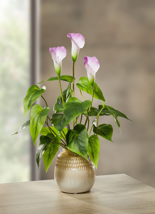 Woonaccessoires - Galla arrangement in een keramieken pot, in Farbe WIT-LILA