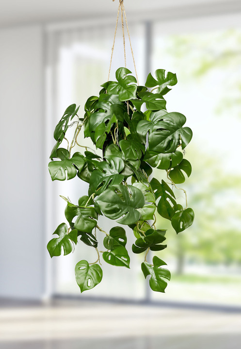 Woonaccessoires - Splitphilo hanger in een pot, in Farbe GROEN