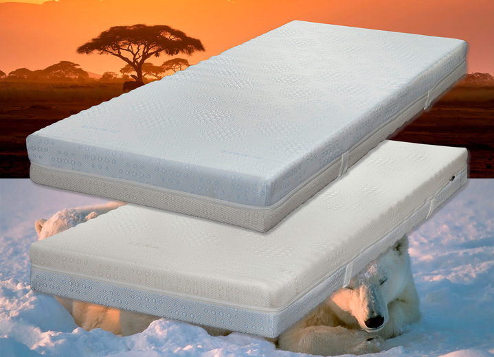 Inspiratie - 7-zone Cellflex matras van Hemafa met zomer- en winterzijden, in Größe 129 (80/190 cm) bis 136 (160/200 cm), in Farbe , in Ausführung Hoogte ca. 14 cm Ansicht 1