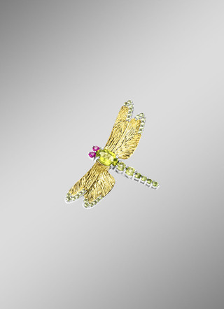 Libellespeld in zilver