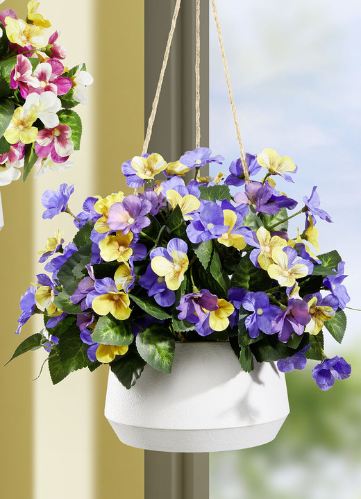 Woonaccessoires - Viooltjes in hangmand, in Farbe GELB-VIOLETT Ansicht 1