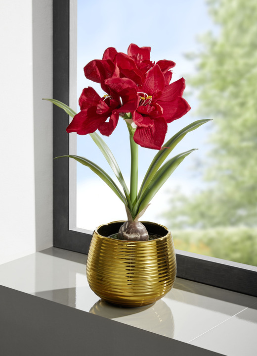 Woonaccessoires - Amaryllis arrangement in een gouden pot, in Farbe ROT-GRÜN-GOLD