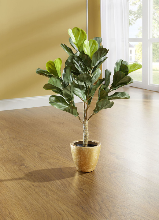 Woonaccessoires - Vijgenbladplant in een pot, in Farbe GRÜN