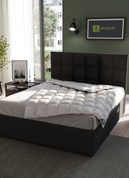 Dekbedden - Hoogwaardig beddengoedassortiment wilde eendendons van Spessarttraum - de beste kwaliteit voor een goede nachtrust, in Größe 103 (135/200 cm) bis 117 (160/210 cm), in Farbe ZILVER, in Ausführung Extra licht Ansicht 1