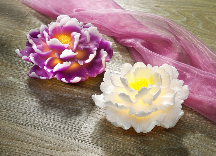 Woonaccessoires - Kunststof LED-chrysant, in Farbe PAARS Ansicht 1