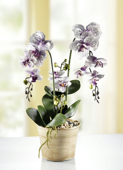 Woonaccessoires - Orchidee in pot, in Farbe