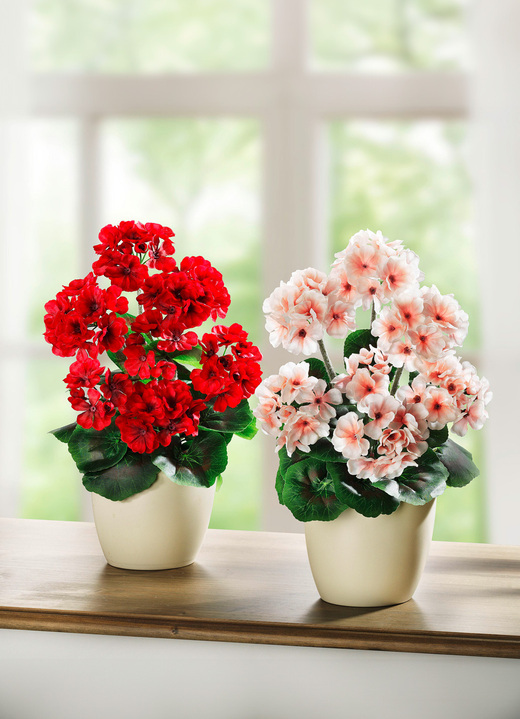 Woonaccessoires - Geraniums in pot, in Farbe ROOD