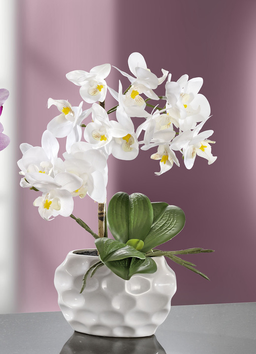 Woonaccessoires - Orchideeënarrangement in keramieken vaas, in Farbe WIT Ansicht 1