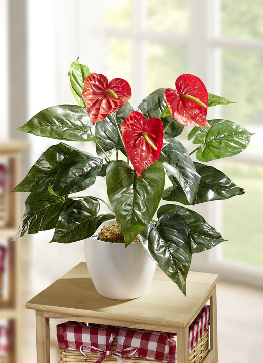 Woonaccessoires - Anthurium in de pot, in Farbe GROEN-ROOD