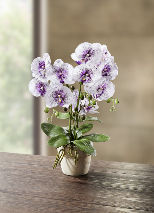 Woonaccessoires - Orchidee in pot, in Farbe WIT-LILA
