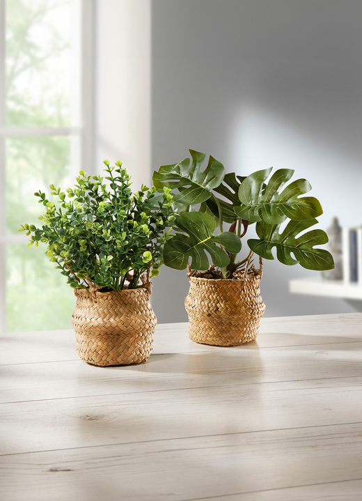 Woonaccessoires - Groene planten in een mand, set van 2, in Farbe GROEN