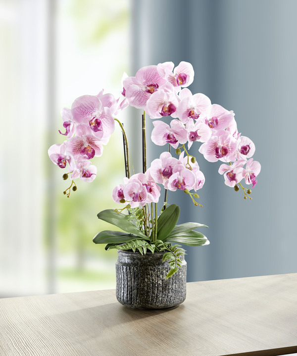 Woonaccessoires - Orchideeën arrangement in een pot, in Farbe ROZE, in Ausführung groot