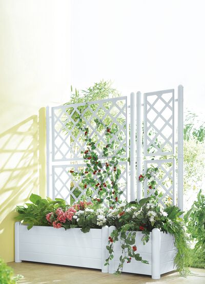 Plantenbak met traliewand 