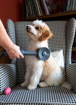 Livington "Sense IQ" Huisdierhaarborstelset 