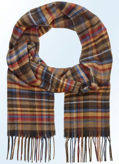 Aantrekkelijke geruite sjaal 