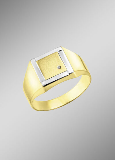 herenring in bicolor design 