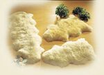 Vloerkleed gemaakt van echt Merino lamsleer BEIGE