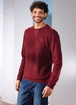 Sweatshirt in 3 kleuren 