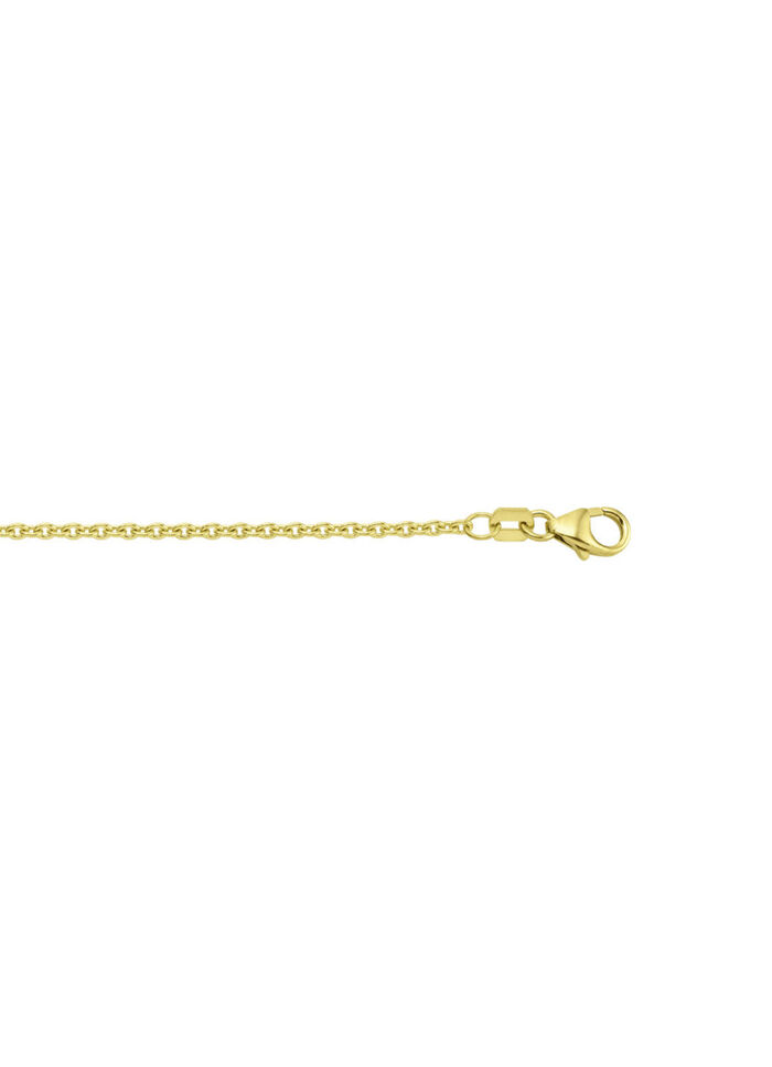 Gouden ankerketting 