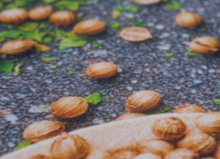 Keukenloperkruiden, duurzaam MULTICOLOR