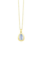 Prachtige druppelvormige hanger met ankerketting 