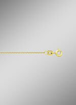 Gouden ankerketting 