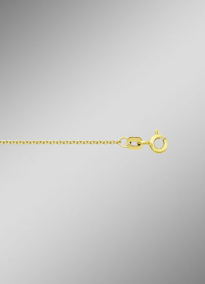 Gouden ankerketting 