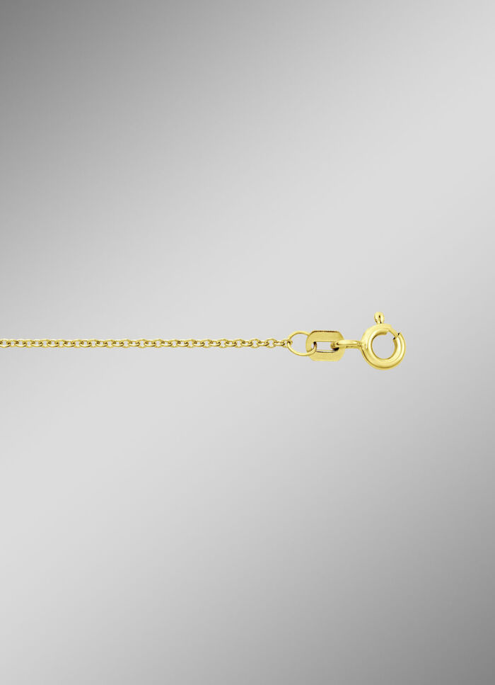 Gouden ankerketting 