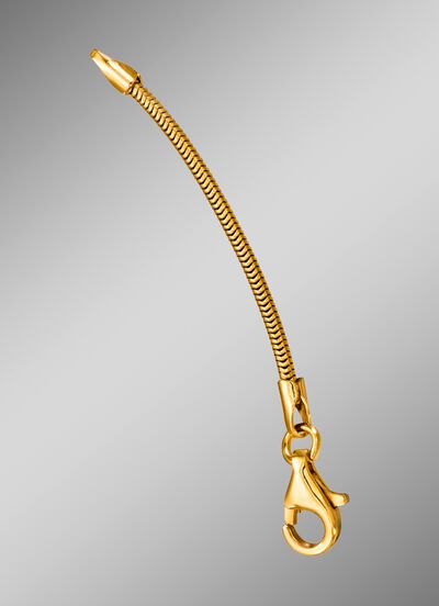 Slangen-verlengketting 