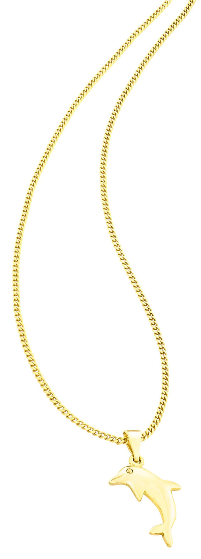 Mooie dolfijnhanger 