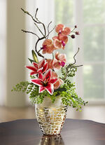 Orchidee&euml;nbloemstuk in pot 