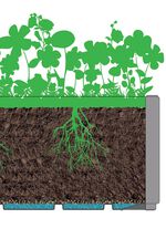 Plantenbak gemaakt van gerecycled polypropyleen 