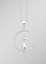 Zilveren kat in de maan hanger 