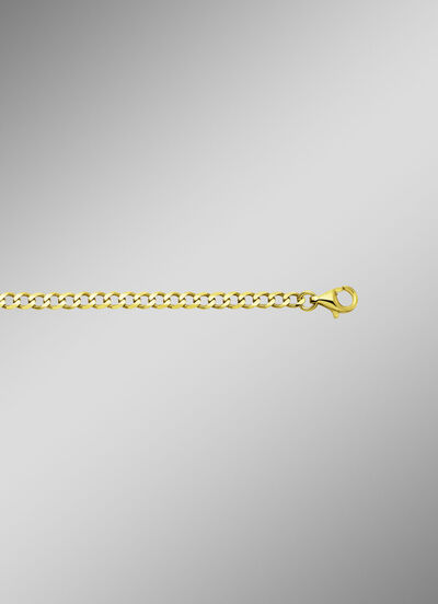 Gouden stoeprandketting 