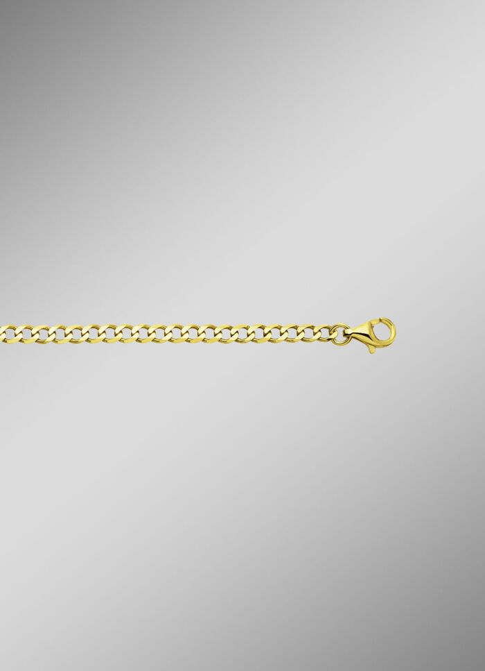 Gouden stoeprandketting 