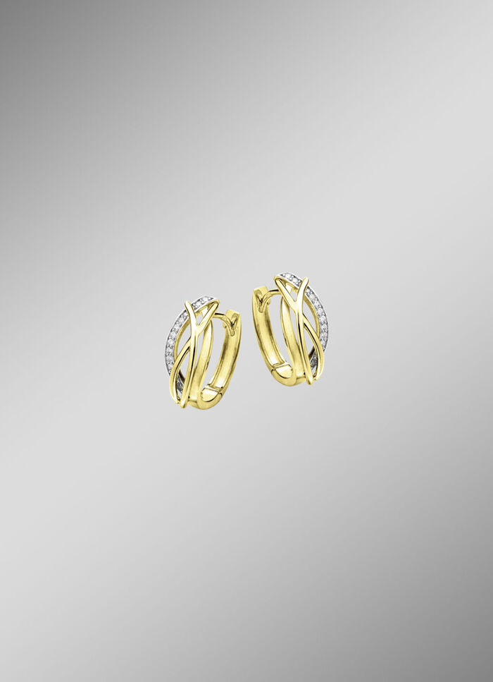 Elegante creolen 