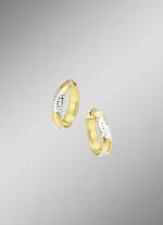 Oorringen zilver 925/- 