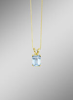 Hanger met ketting 