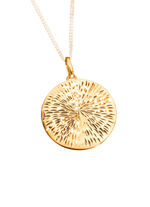 Ster diamanten hanger 